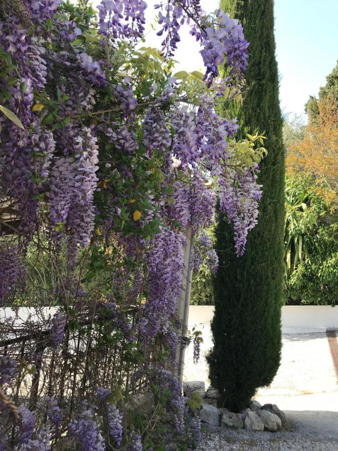 Bastide Nomade - Guest House Saint-Paul-de-Vence Ngoại thất bức ảnh